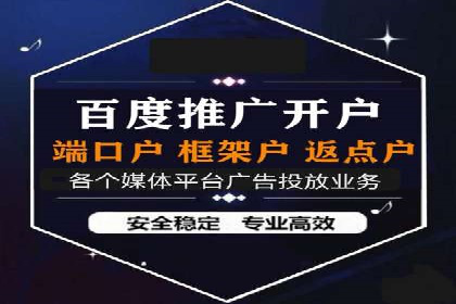 提升转化率：SEM竞价专员的案例研究