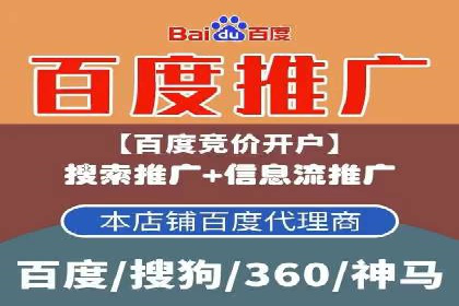 百度联盟推广网络覆盖的案例研究